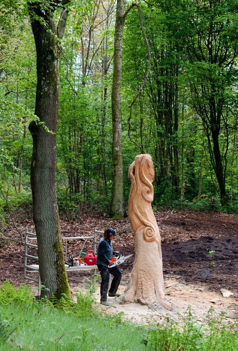 1: Forst botanisk have Viborg, Ml himmel og jord 2014 jpg.jpg