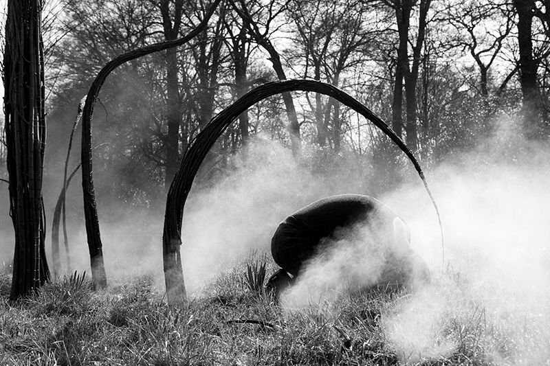 1nebel1-01-800x533-q80.jpg
