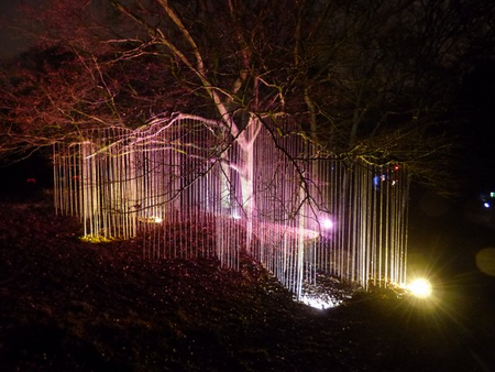 Bart Ensing, Scheveningen Light Walk, 2016. Tree, ropes, light