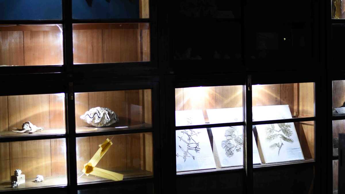 The Chamber of Uncanny Objects | Sculpture Network
