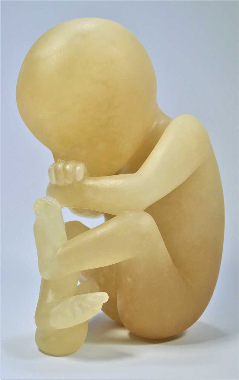 DeborahHarrison-Foetus-alabaster.jpg