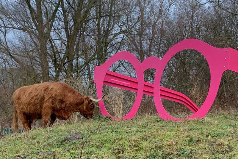 giant pink glasses highlanders a.jpeg