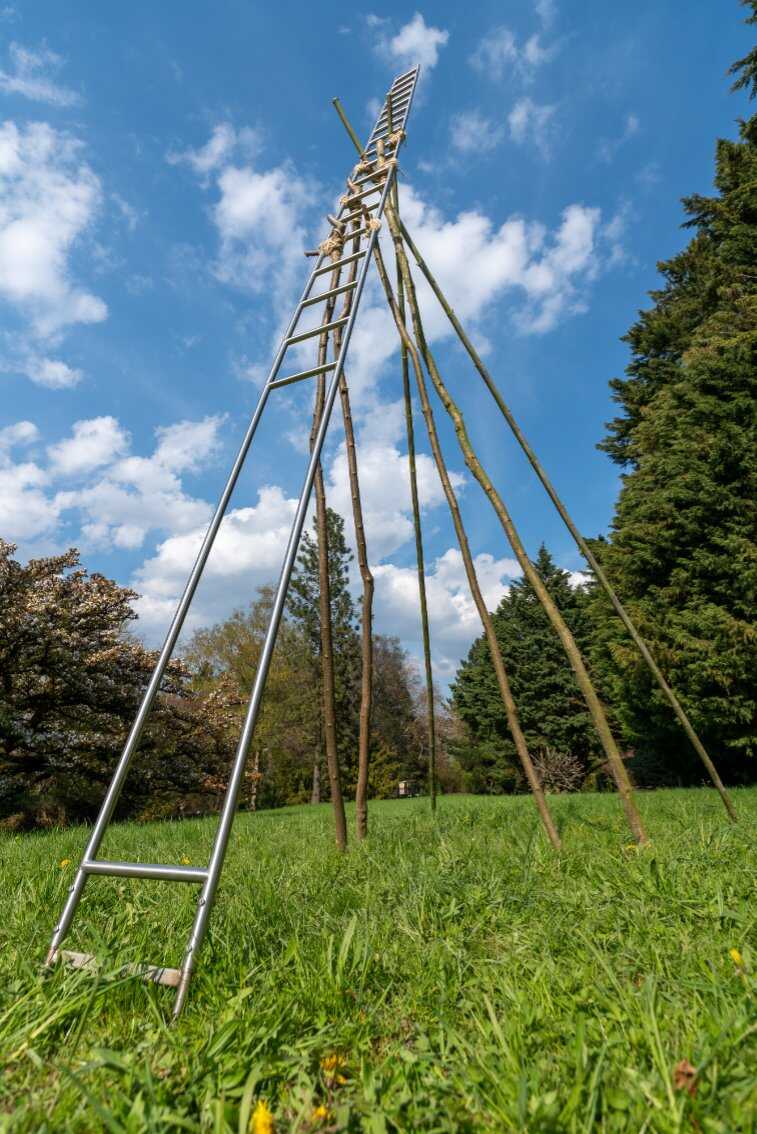 objekt zur überwindung des tellerrandes 2021 edelstahl, äste 5x2x6m foto endl.jpg