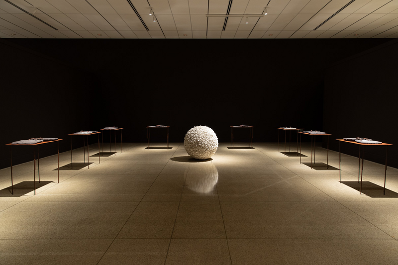 1_Fernando Casasempere, Installation view of Terra, 2022. San Diego Museum of Art. Photo by Ron Kerner, courtesy of the artist.jpg