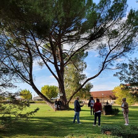 The park of the Castillo de Cuzcurrita