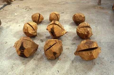 David Nash: Sculpture through the Seasons | Sculpture Network
