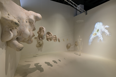 Installation view of the Austrian Contribution ENTANGLED RELATIONS – ANIMATED BODIES to the 23rd Triennale Milano International Exhibition An installation by Sonja Bäumel, commissioned and curated by the MAK – Museum of Applied Arts, Vienna  © Gianluca Di Ioia/MAK