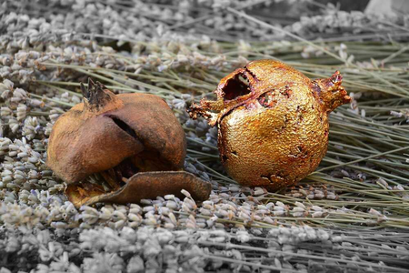 Viviane Brickmanne, 2 pomegranates in nature, metal, wood and pomegranate. © Viviane Brickmanne