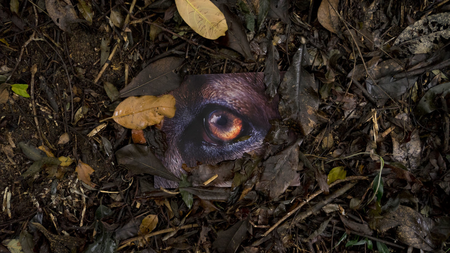 Daniel Steegmann Mangrané, La Pensée Ferale, 2020