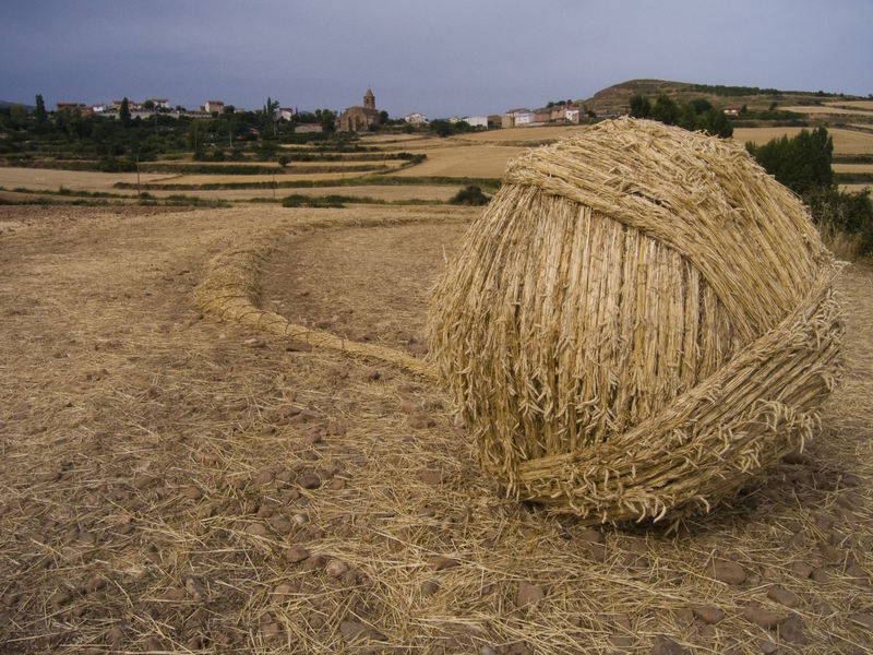 Al Hilo del paisaje. Lucía Loren. 2007. Arte en la tierra, Santa Lucia de Ocón, La Rioja. Foto Lucia Loren