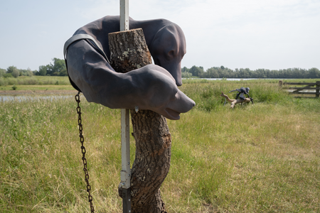 Giulia Cenci, Treesome, 2023, IJsselbiënnale NL