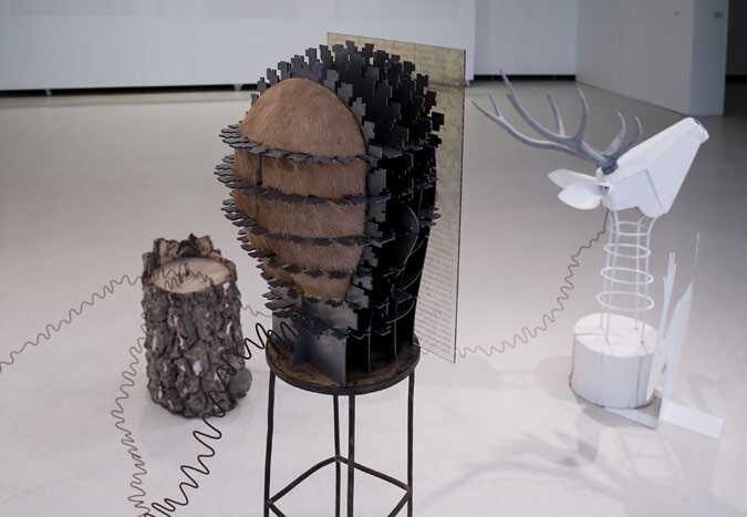 Evolution: A Coded Transformation of the Image