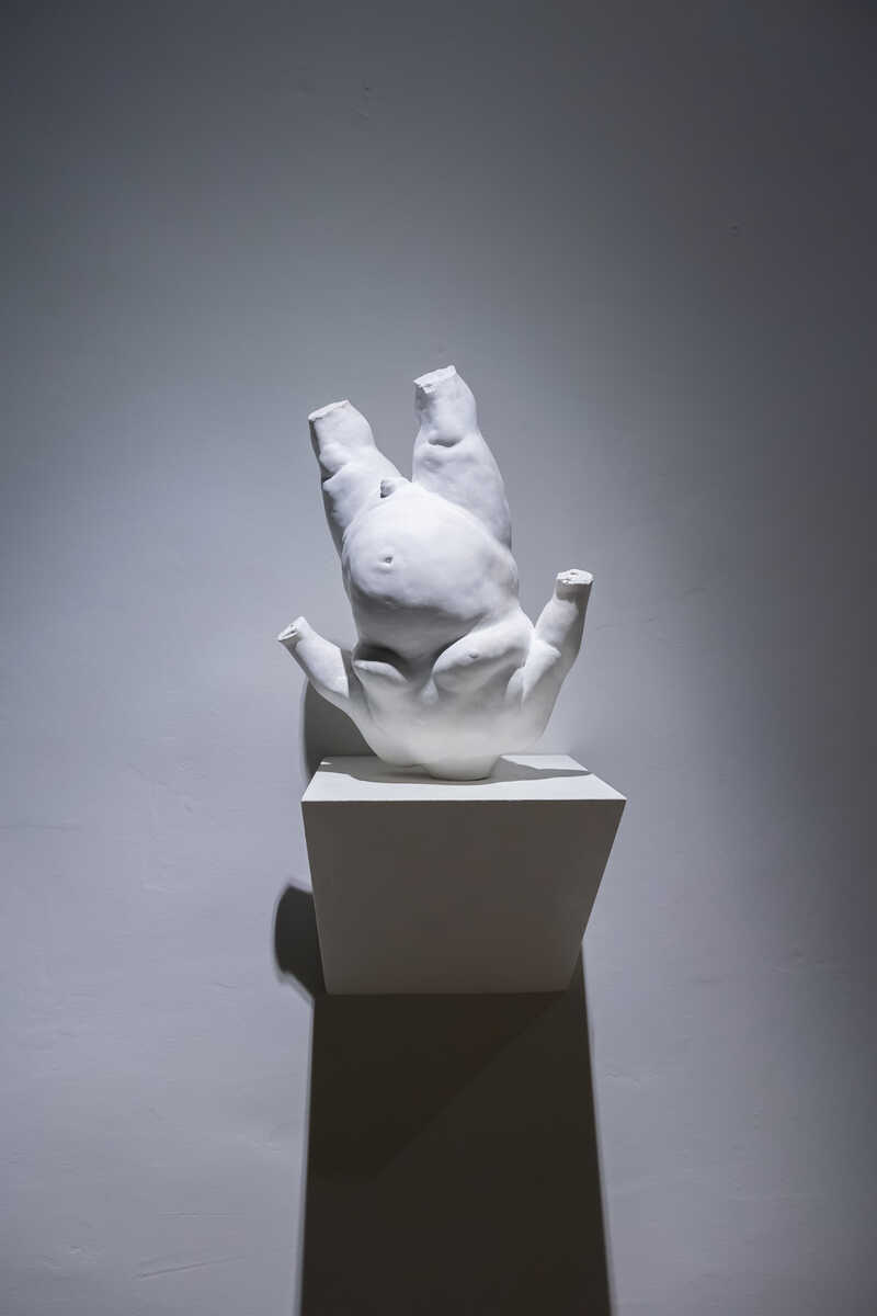 Miro Trubač, Chicken, 2019 (2).jpg