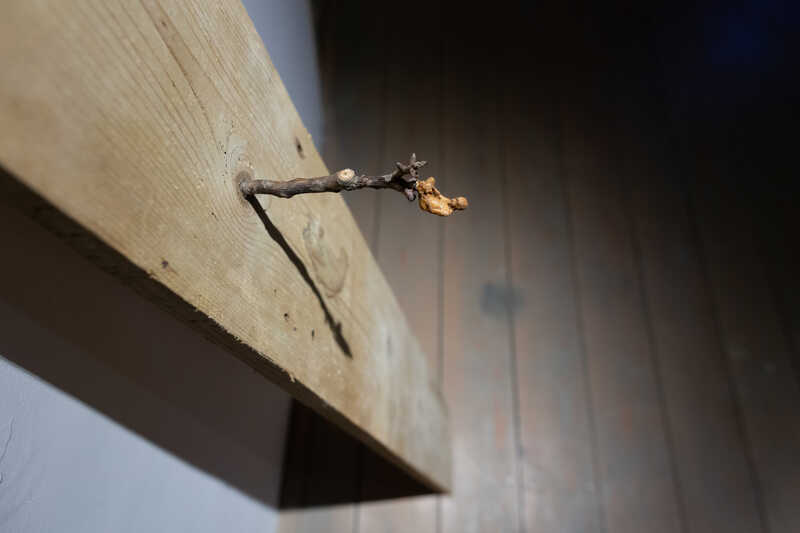 Miro Trubač, When anything causing you pain, CUT IT OFF, 2019 (4).jpg