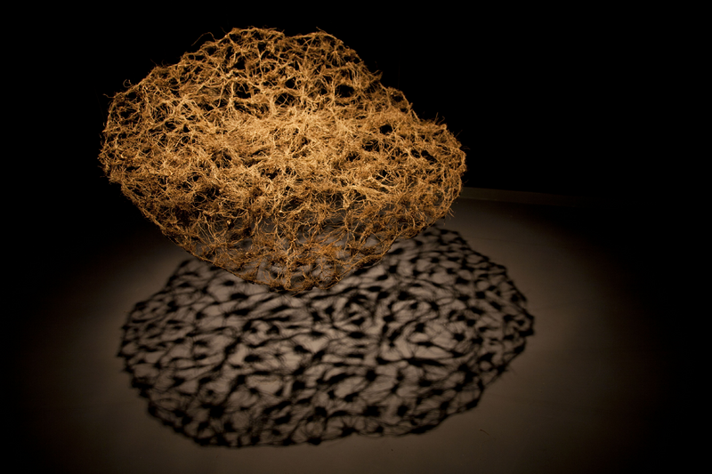 Lucía Loren, Cubierta vegetal (2016), stitched roots.