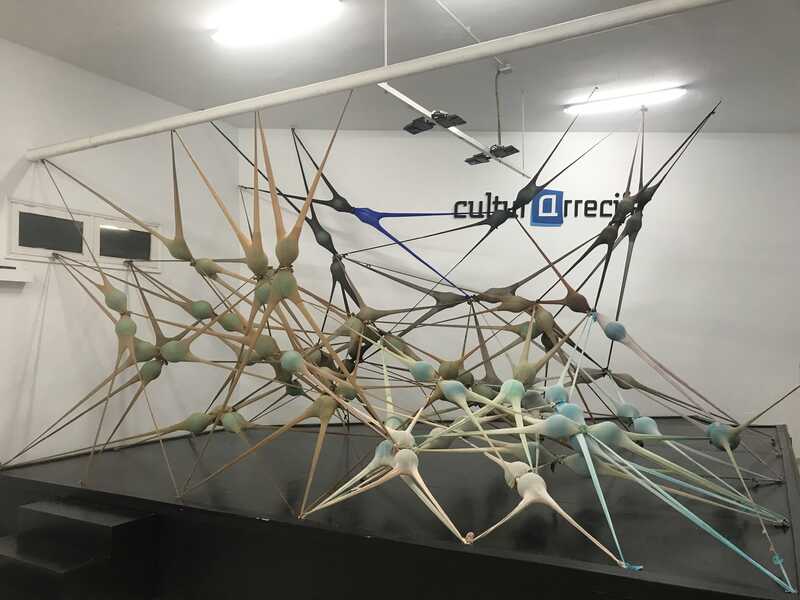 intervention invading network - net no. 66