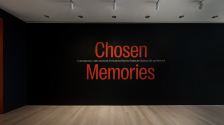 Installation view of the exhibition "Chosen Memories: Contemporary Latin American Art from the Patricia Phelps de Cisneros Gift and Beyond"
