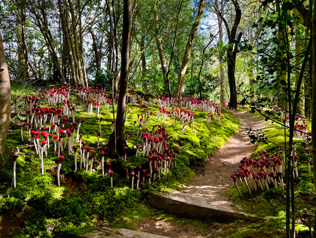 Riëlle Beekmans, Kusjes. Woodland path. Images courtesy of The Hannah Peschar Sculpture Garden.