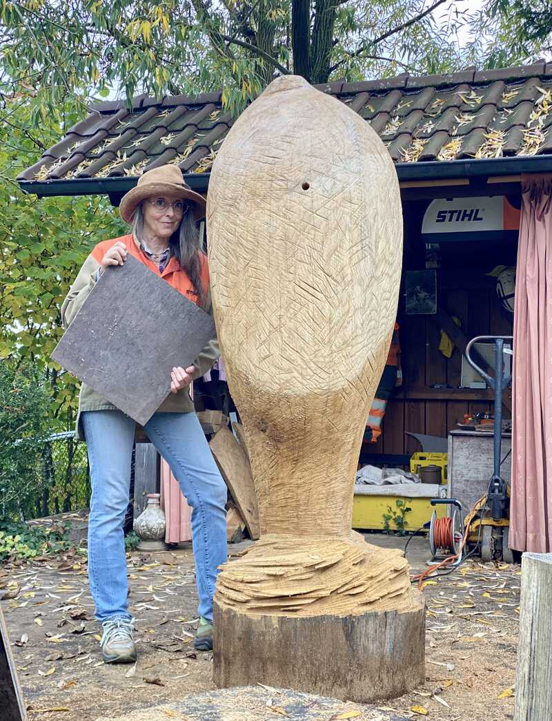 Friedenstaube Größenvergleich