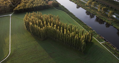 Marinus Boezem, Green Cathedral, 1978 – 1987, Almere, NL. Photo Jordi Huisman