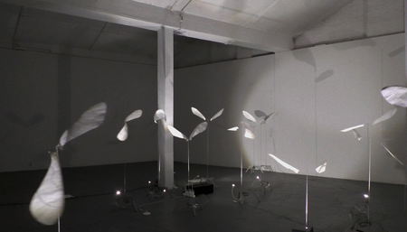 Bart Nijboer, Pollination Field, 2018