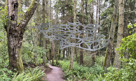 Daniella Rubinovitz, Flying Fish