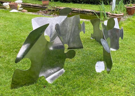 Daniella Rubinovitz, Puzzled