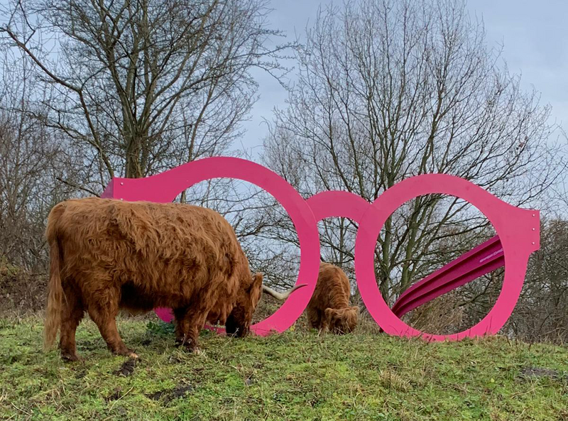 giant pink glasses highlanders c