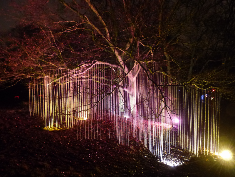 Bart Ensing, Scheveningen Light Walk, 2016. Tree, ropes, light