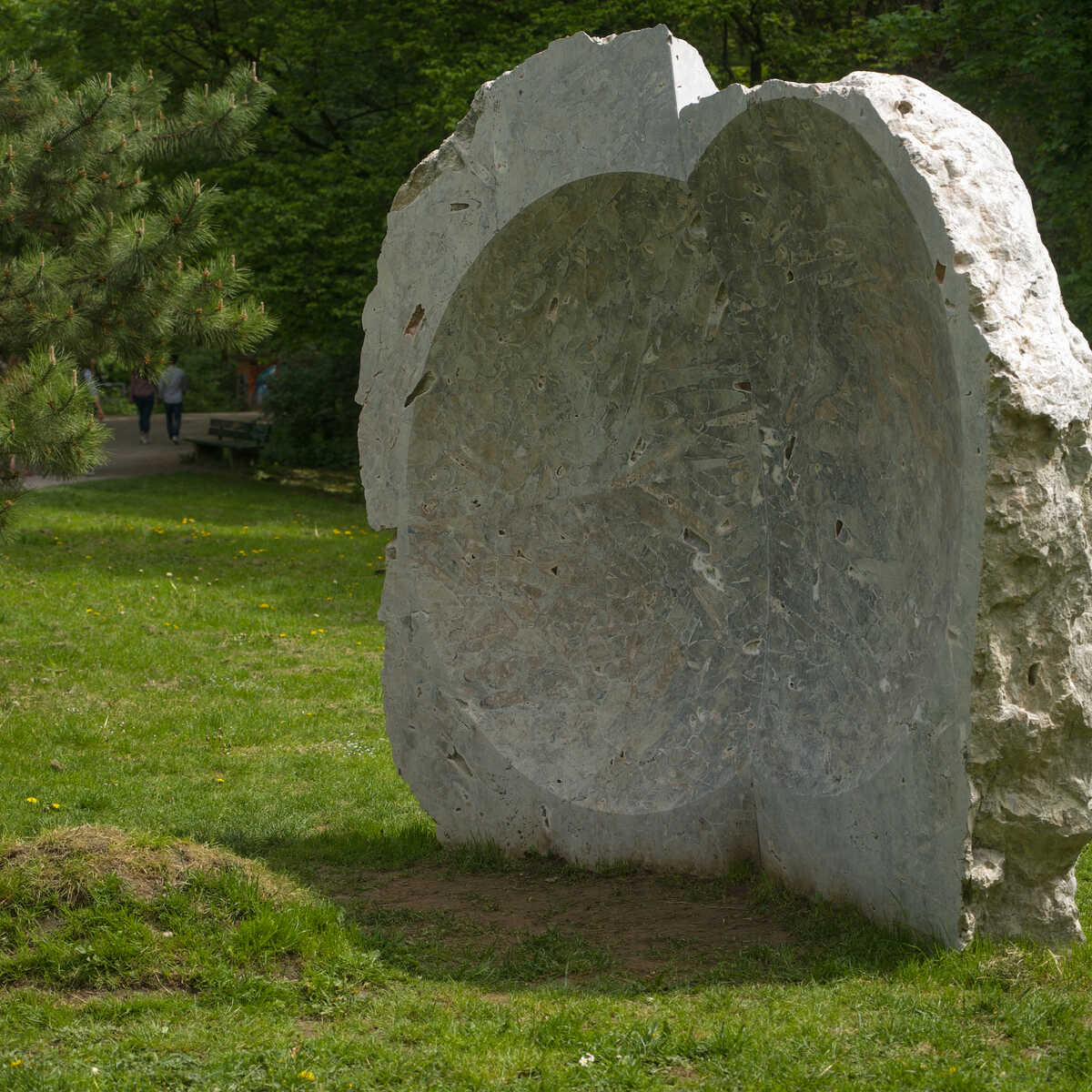 copper_lick_bild_1.jpg(