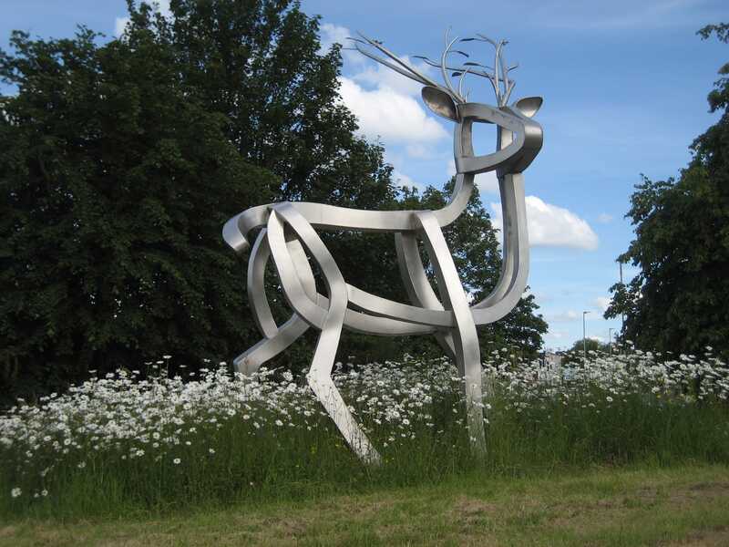 2.Spirit of the Forest Coleford Diane Gorvin