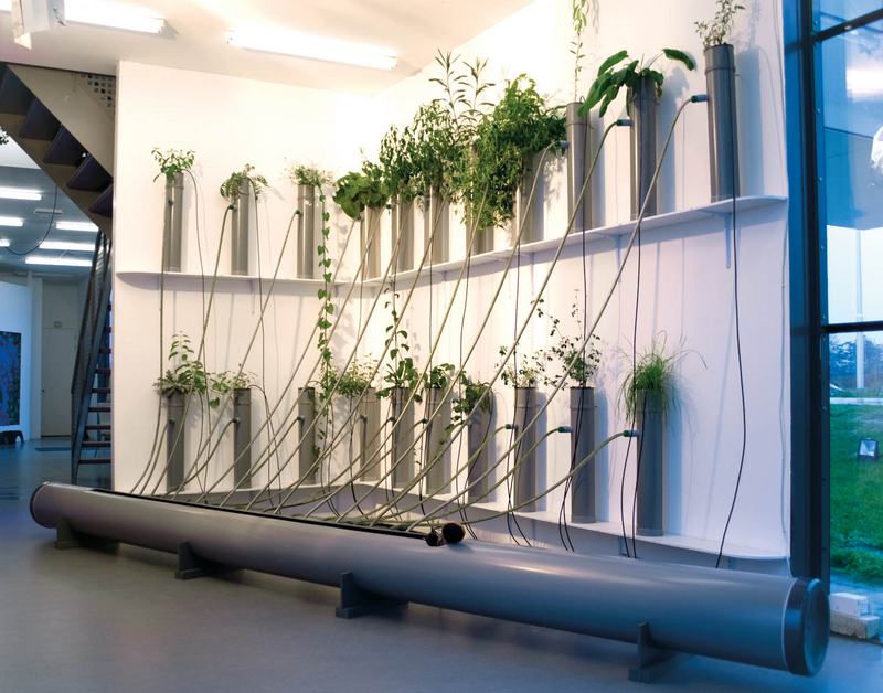 Menno Hiele, Tibia Hollandicus Hybridus, Leidse Rijn, 2013.<br />PVC pipes, light, water, wild plants and pump