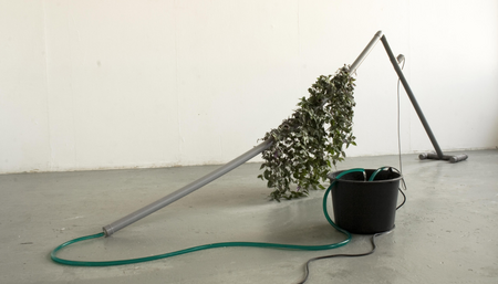 Menno Hiele, Tibia oblungus 2012 PVC, water, plants, pump, 300 x 80 x 100 cm