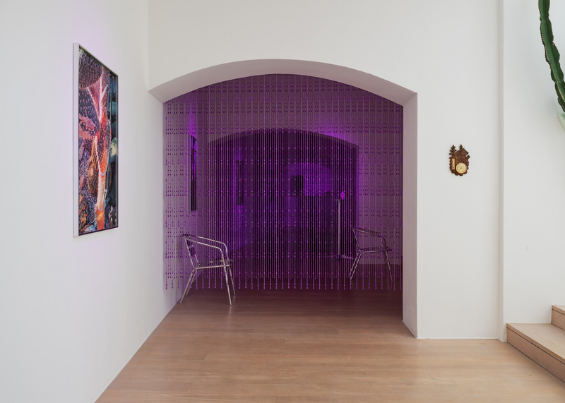 Trevor Yeung, Purple Haze, 2025, Underwater Haze, 2025, Kestner Gesellschaft. Foto: Volker Crone
