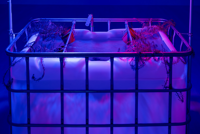 Trevor Yeung, Giver (Water Lilies), 2025, Underwater Haze, 2025, Kestner Gesellschaft. Foto: Volker Crone