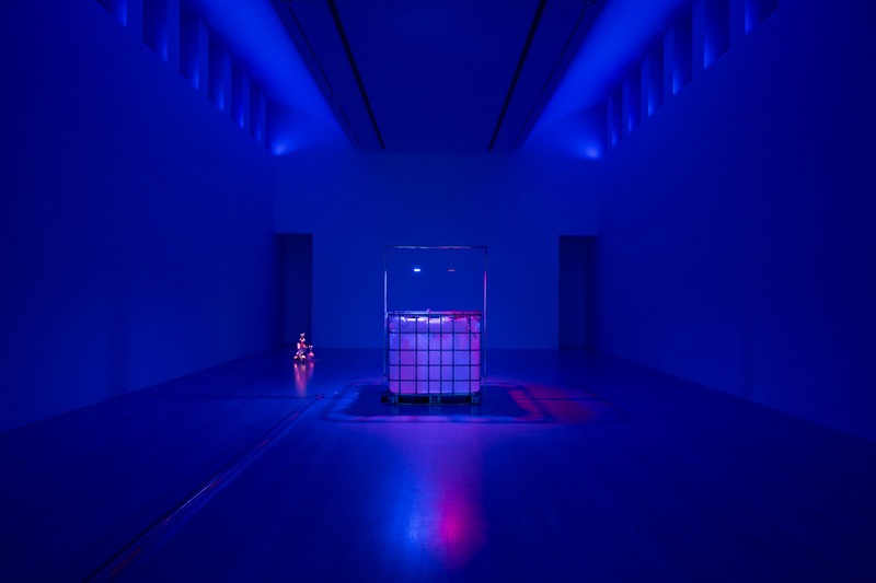 Trevor Yeung, Soft Gaslighting (Blue Chamber), 2025, Underwater Haze, 2025, Kestner Gesellschaft. Foto: Volker Crone