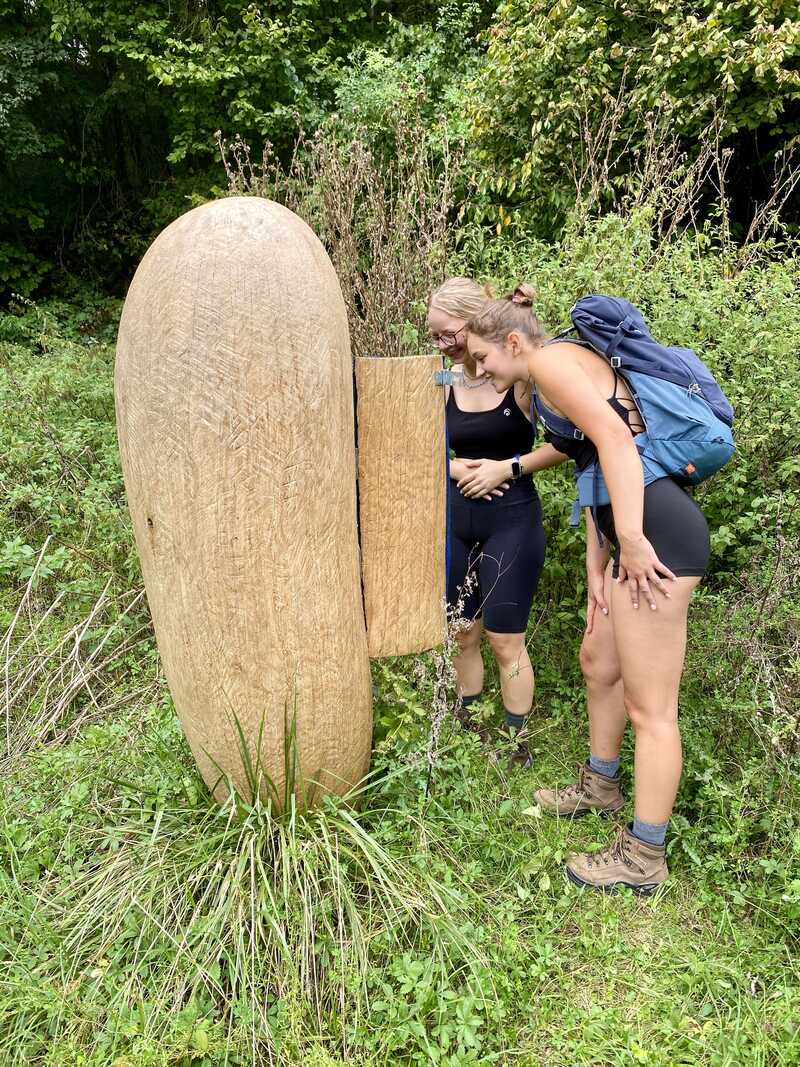 Bienenei - Bienenstock