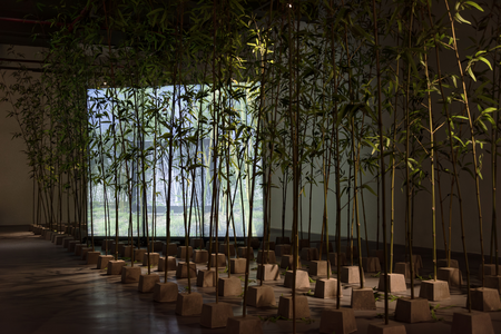 Bamboo, concrete, steel, digital image, LED lights box, sound, speaker