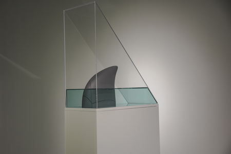 acrylic, wood, 3d printed resin