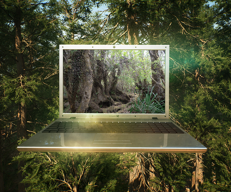 Digital image