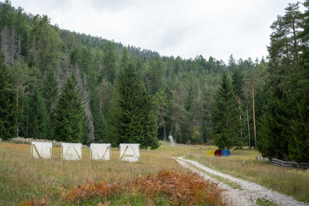 Dmitrii Khramov & Maria Khramova, “Mama”.
