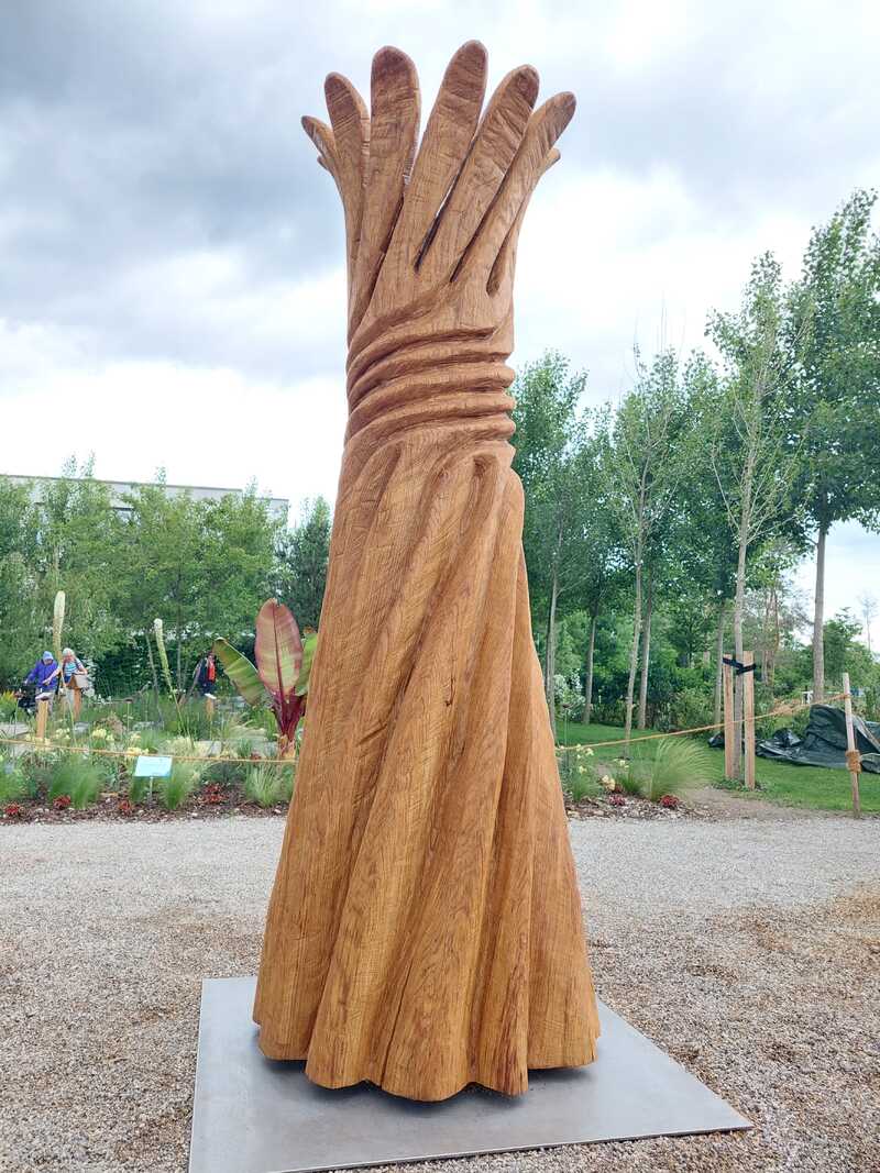 Wachstum Entfaltung 1