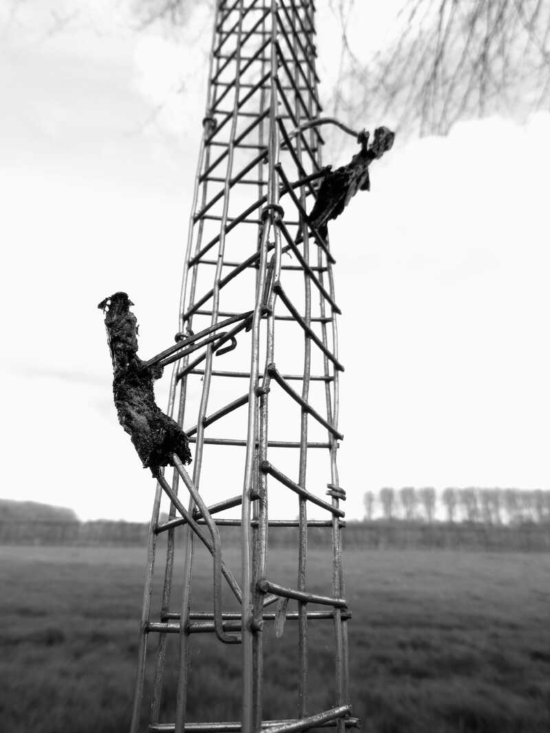 26126904174_66249e9318_o