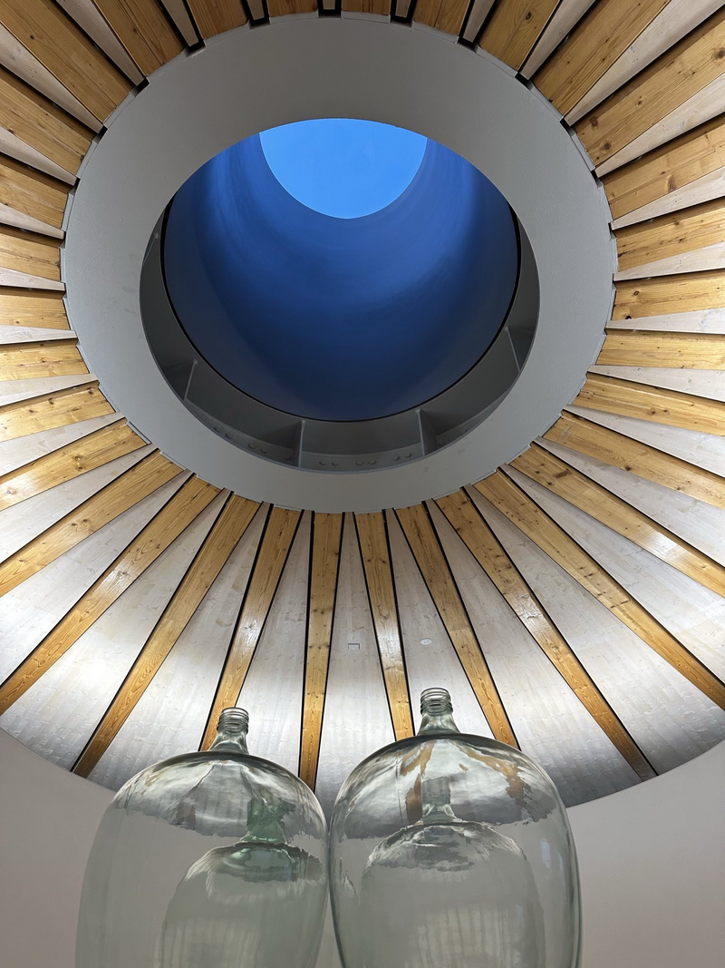 SN_Team_25_Skulpturenhalle2