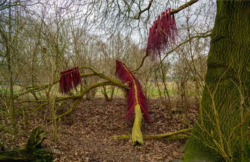 Gewicht-project-Bosshaltes