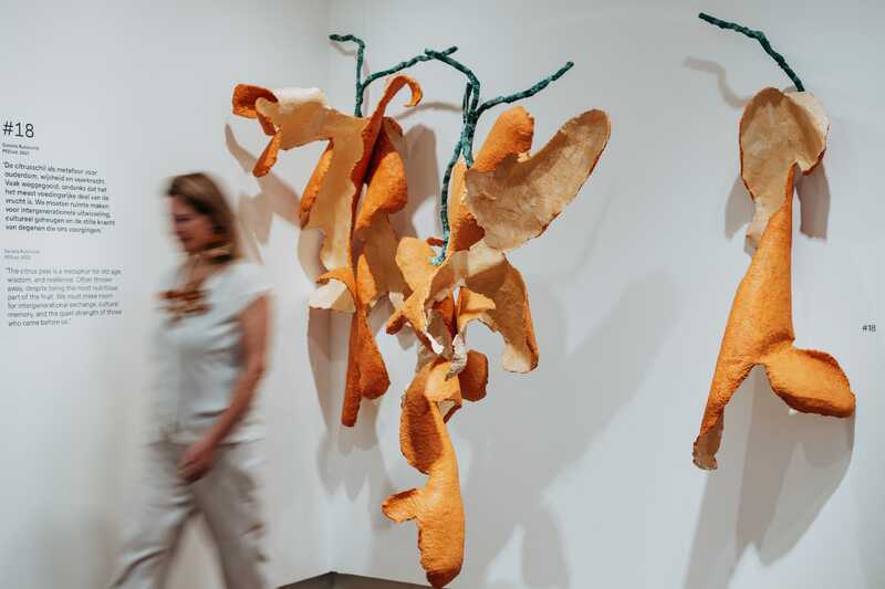 Daniella Rubinovitz Peeled Amsterdam Museum sm