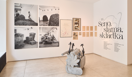 Exhibition view: Hay, Straw Dump, Václav Špála Gallery Prague, 2023, photo Jan Kolský