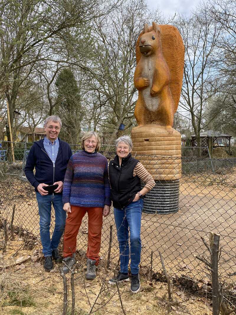 Eichhörnchen, Bienenstock