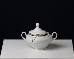 Pavla Sceranková, Either Or, 2010. Broken porcelain, radio antennas, variable size, 2010