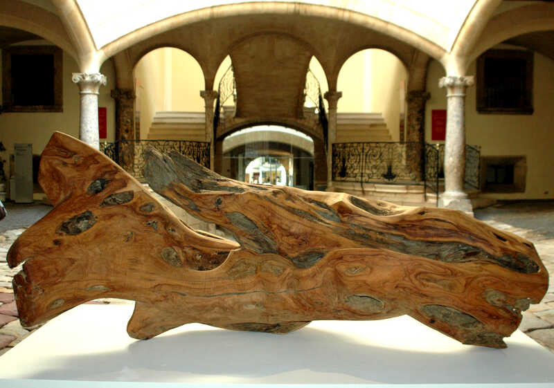 wood olijf - 1